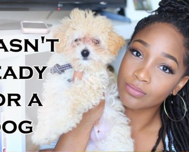 I Wasn't Ready For a Dog | Tips for New Puppy Owners + New Puppy Must Haves
