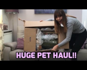 HUGE PET HAUL | PET CARE BY POST | Toys & Treats for Small Animals!