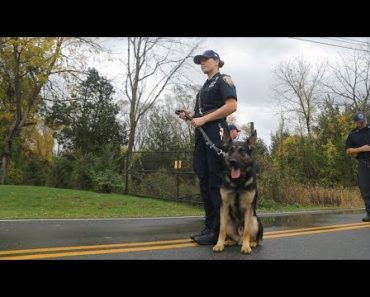 Police Dog: Training your best friend