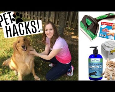 LIFE HACKS FOR PET OWNERS! | Pet Care Tips & Tricks!