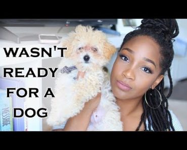 I Wasn’t Ready For a Dog | Tips for New Puppy Owners + New Puppy Must Haves