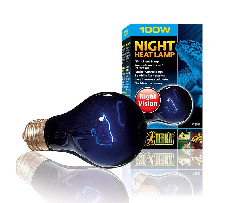 Exo Terra Night-Glo bulb