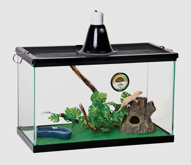 Zilla Reptile Starter Kit 10 with Light and Heat