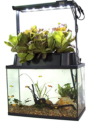 Ecolife ECO-Cycle Aquaponics Indoor Garden System with LED Light Upgrade