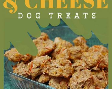 Carrot & Cheese Dog Treats: Recipe