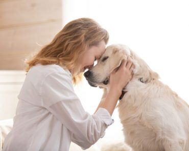 Hospice care for your pet – how essential oils can help