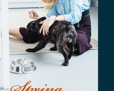 Spring Cleaning Kitchens in Dog Homes