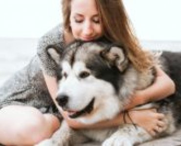 10 Tips to Practice Healthy Hygiene With Your Pets