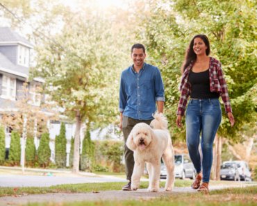 7 ways to ensure your dog is neighbor friendly