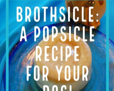Brothsicle Recipe: A Popsicle for Your Dog!