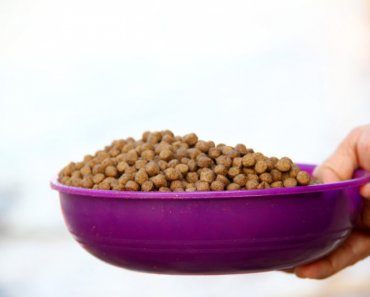Does your pet food meet industry standards?