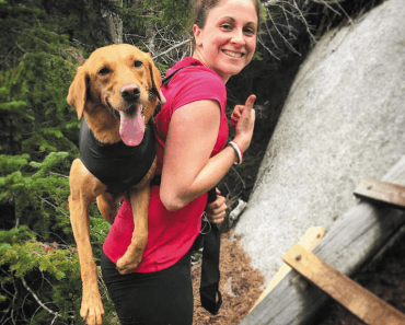 Hiking With Dogs: A Guide to Safely Taking a Hike With Your Dog