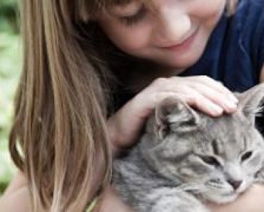Introducing Cats to Children | Advantage Petcare