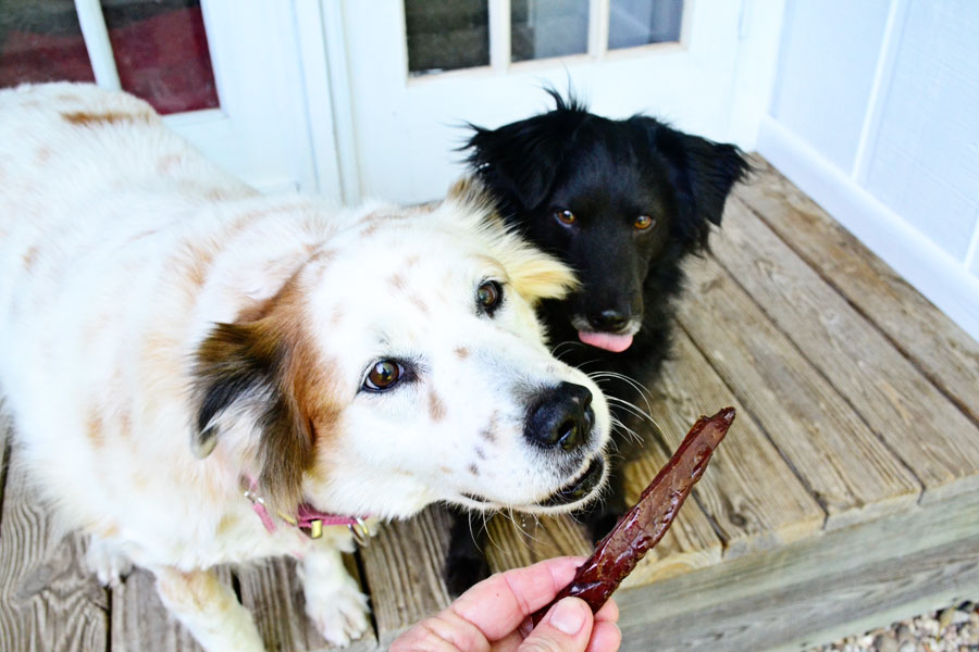 dogs enjoying Liver Jerky Dog Treats 