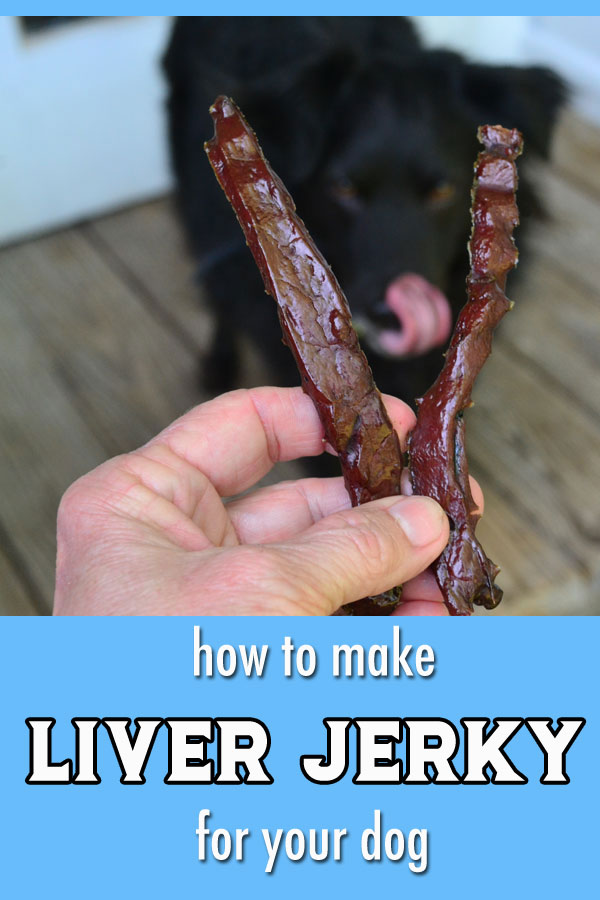 Liver Jerky Dog Treats - Recipe