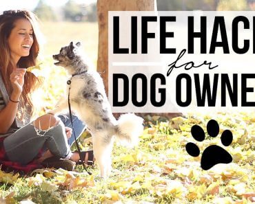 15 Life Hacks for Dog Owners! Pet Care Tips + Tricks | Ariel Hamilton
