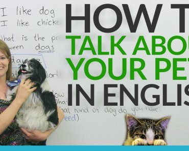 Real English: Talking about pets and animals
