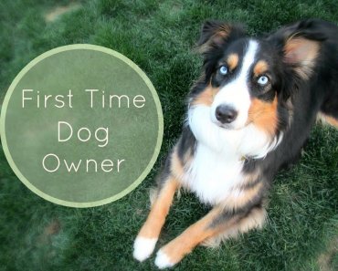 Tips For First Time Dog Owners |Life With Aspen|
