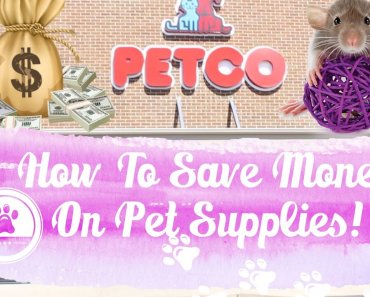 How To Save Money At The Pet Store! My tips & tricks!