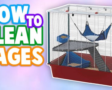 How To Clean A Pet Cage | Tips + Advice