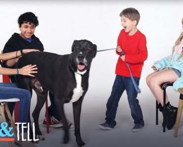 Show & Tell Pets | Show And Tell | HiHo Kids