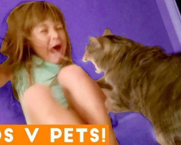 Ultimate Cute Pets vs. Epic Kids Fails Compilation | Funny Pet Videos February 2018