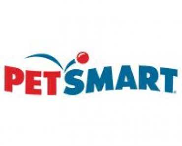 Tips for Kids & Pets: Good Small Pet for Kids