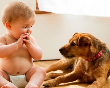 Your Guide to Safety for Kids and Pets
