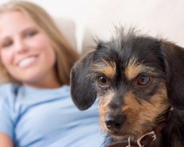 12 Pet Safety Tips