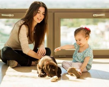 7 Tips for Sharing Your Home With Pets and Kids