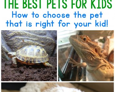 The Best Pets for Kids – Choose the best pet for your child!