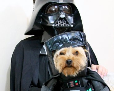 Tips for Trick-Or-Treating with Kids and Pets
