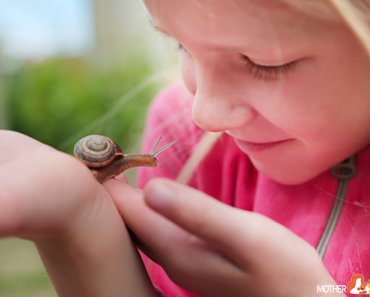 Keeping Pet Snails: Everything you need to know about their care!