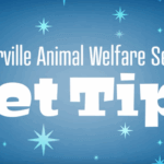 Pflugerville wildlife tips