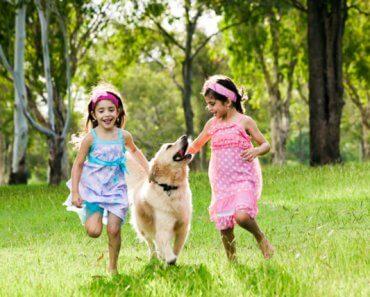 6 Outdoor Activities for Kids and Dogs