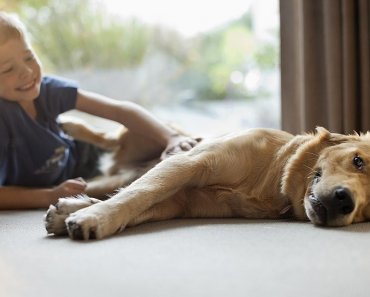 Tips for Introducing Pets to Your Kids