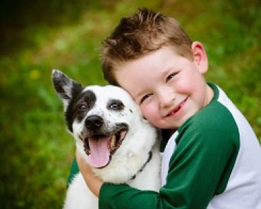 Tips for Teaching Kids How to Care for Pets