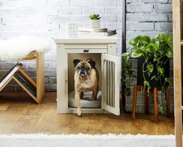 Tips for Making Your Small Apartment Dog Friendly