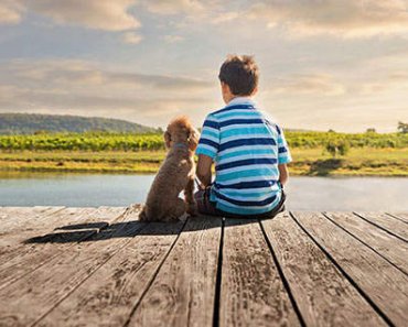 Dogs and Kids: 4 Tips to Keep Them Safe