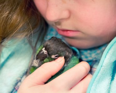 5 Things to Consider About Kids and Pet Birds