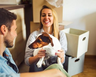 Tips for Pet Owners Buying or Selling Their Home