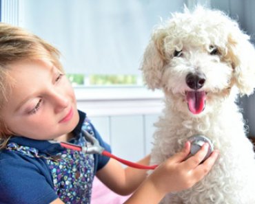 Do’s and Don’ts to Help Kids and Pets Bond