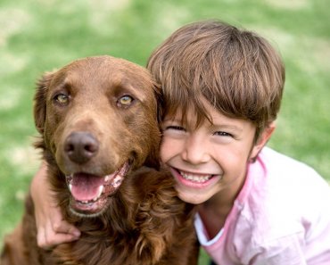 Kids and Pet Safety Rules | Life with Pets | Blog