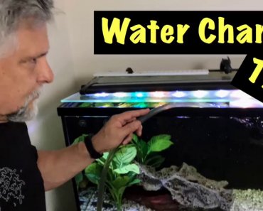 Aquarium Water Change Tip – from “Tap-to-Tank” – this is How I Do It! Safe and Fast!