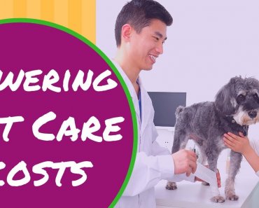 7 Tips on Lowering Your Pet Care Costs | Save Money Tricks |