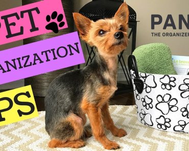 PET ORGANIZATION TIPS !!