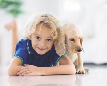 Safety Tips for Pets and Kids –