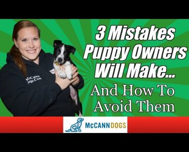 Tips For New Puppy Owners – Professional Dog Training Tips