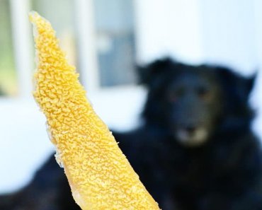 Tripe Chews for Your Dog: RECIPE