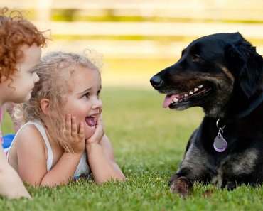 Fertilizer Safety Tips for Pets, Children and Adults